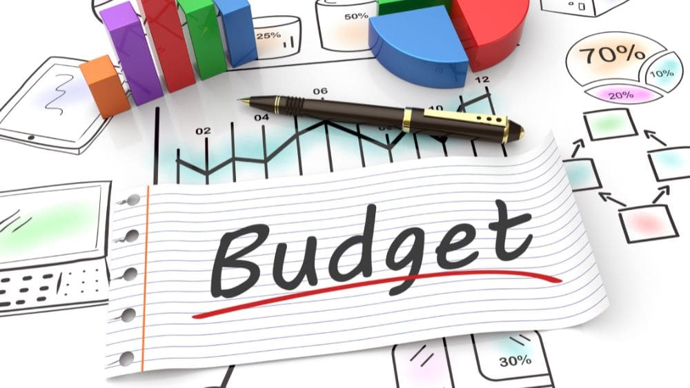 How Do You Handle Budget Management and Optimization?