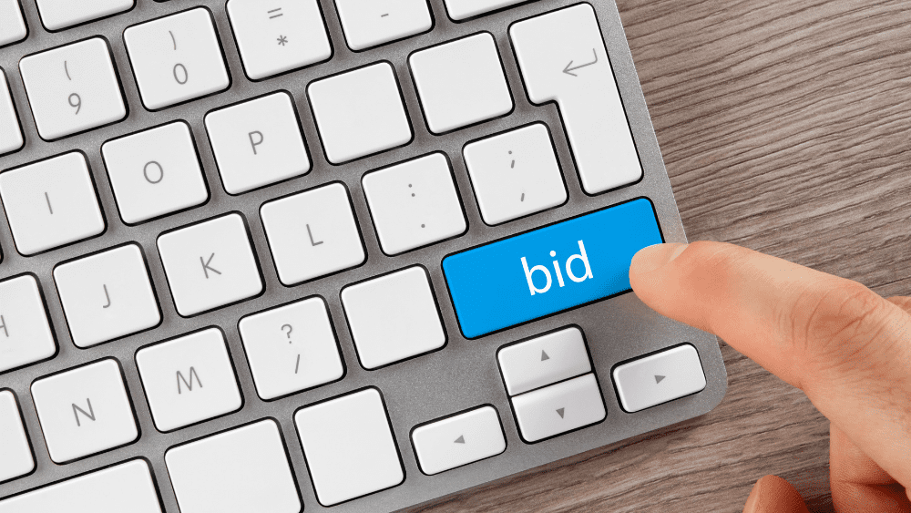 Set Your Budget and Bid Strategy